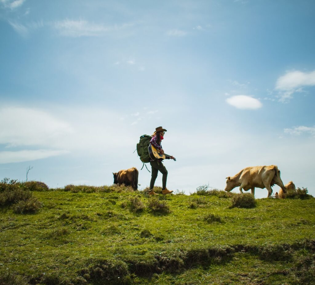 Farmer checking cattle in the field, the daily habit that catches cattle diseases early